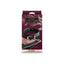 Bondage Couture Collar & Leash Kit Black | WorldCondoms
