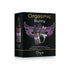 Kit de estimulación del clítoris Orgie Orgasmic Bunny