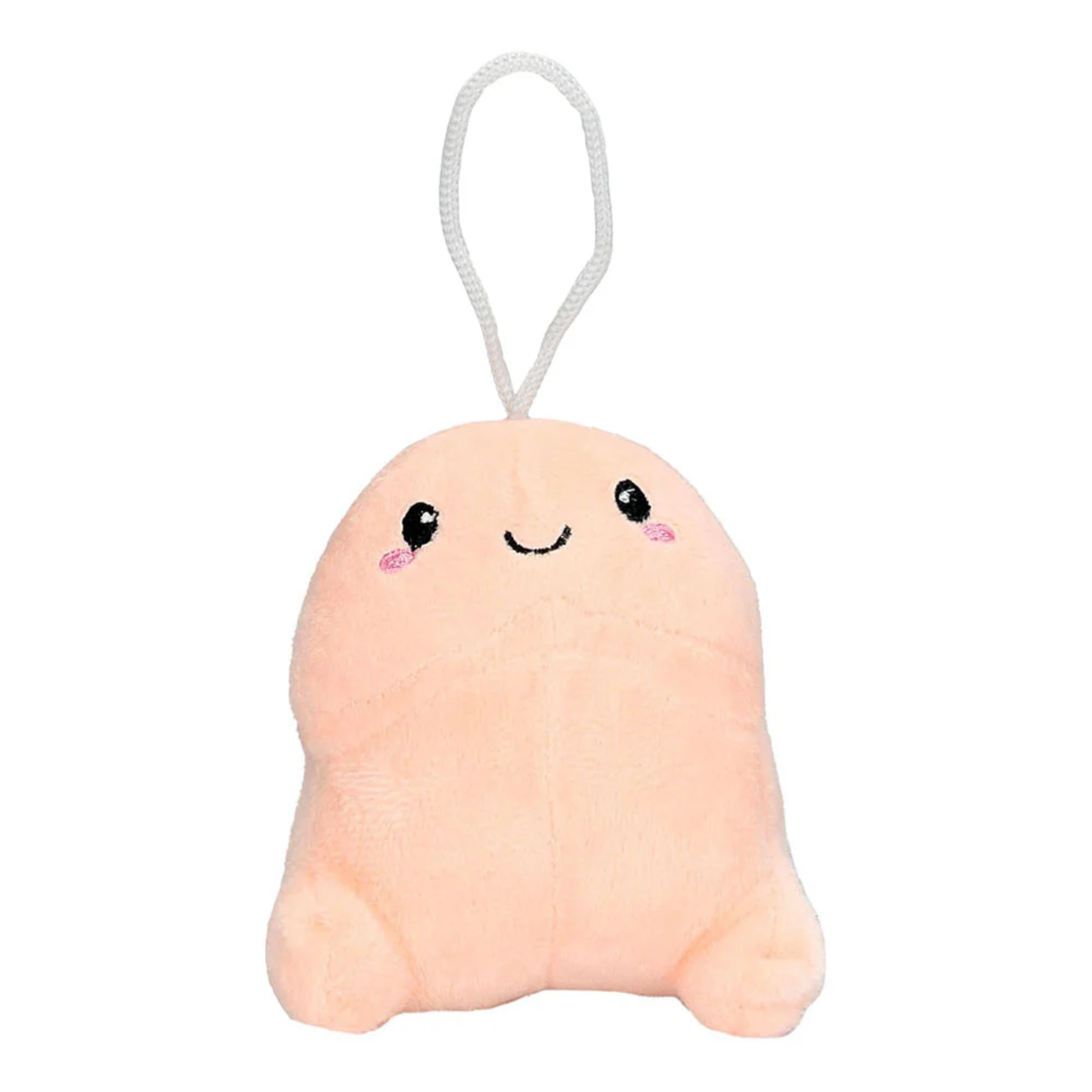 Front studio shot of a 3.94-inch novel plush novelty toy shaped like a stylized penis with an embroidered smiling face, pink blushing cheeks, and a white hanging cord attached at the top. Main image